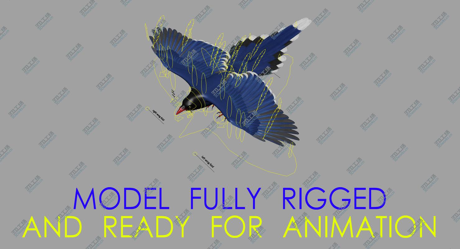 images/goods_img/2021040165/Taiwan Blue Magpie (Animated)/3.jpg